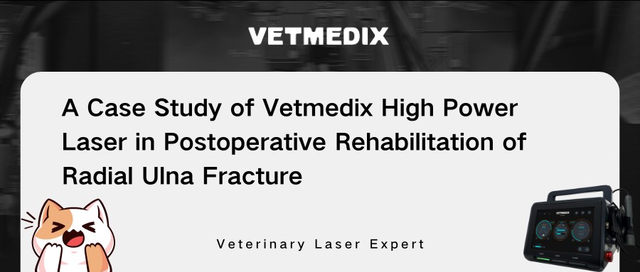 Vetmedix Case Deling 丨 High-Power lasertherapie bij de postoperatieve revalidatie van radiale ulna fractuur