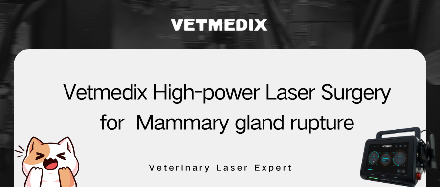 VETMEDIX Case Sharing丨High Power Laserchirurgie voor borstklierruptuur